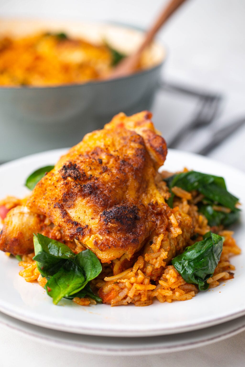 Chicken Paprika and Spanish Rice Comfort Food Ideas One Pot Meal